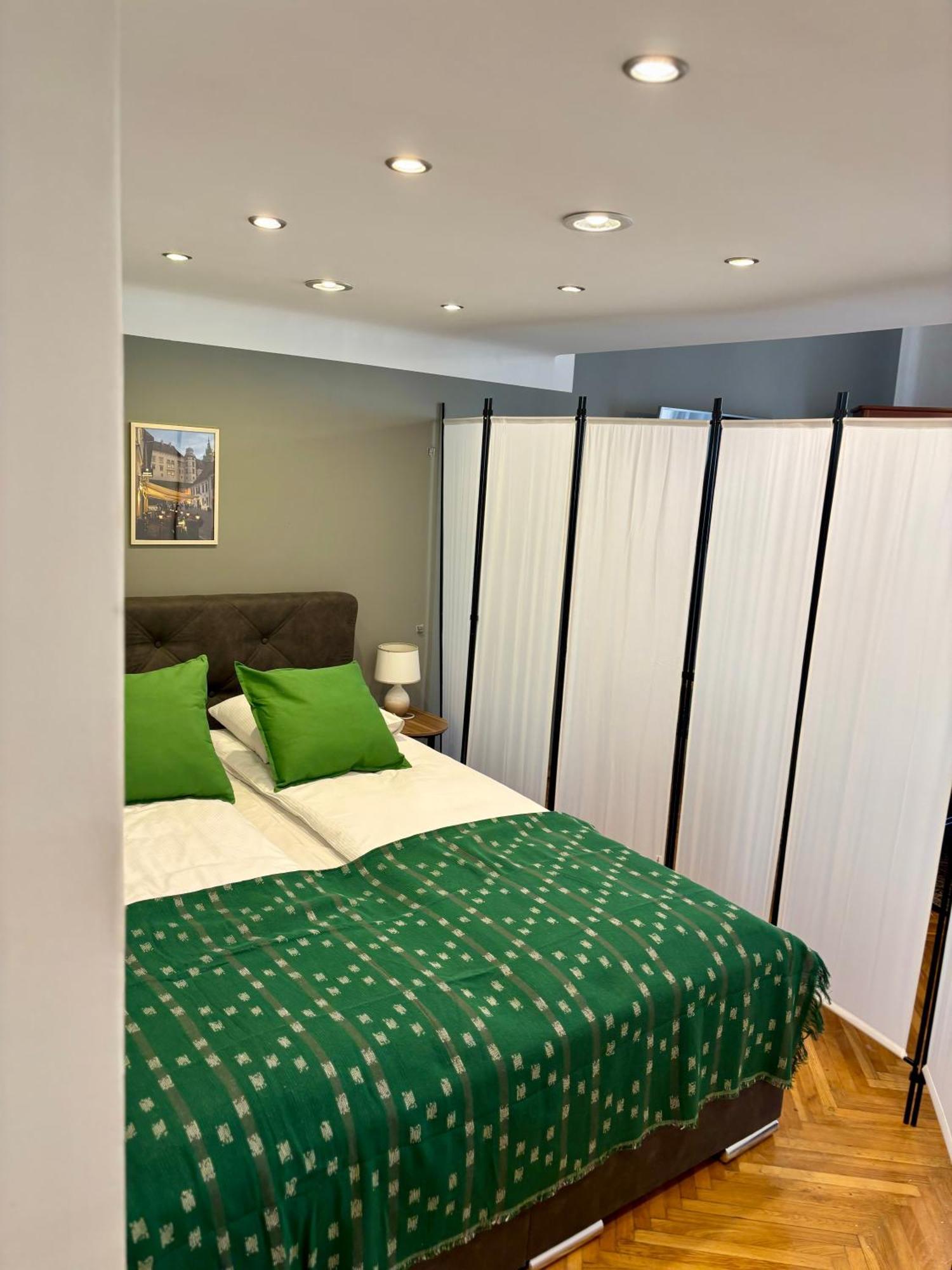 Apartament Vintage Senacka 3 *